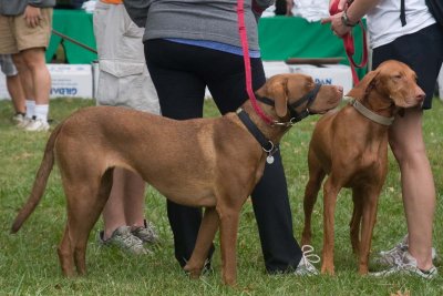 CRW_0828.jpg