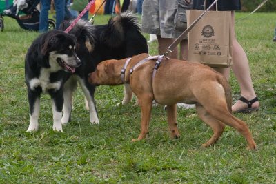 CRW_0831.jpg