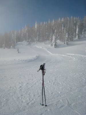 IMG_3196.JPG