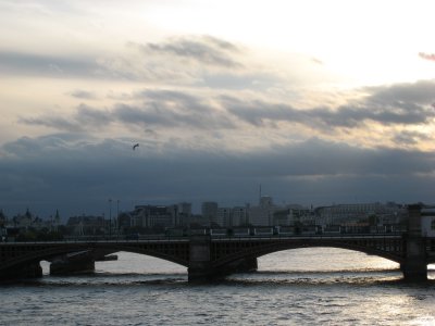 IMG_0768.JPG