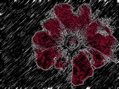Untitled_HDR2c.jpg