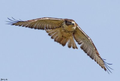 g1/88/642388/3/105883100.HoPqiYUw.jpg