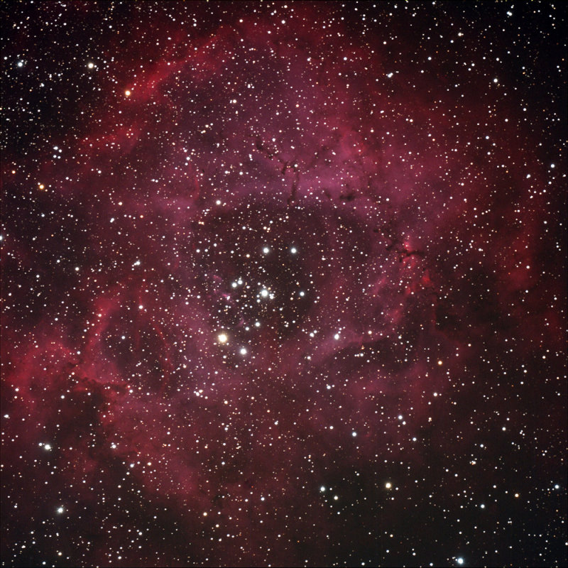 The Rosetta Nebula