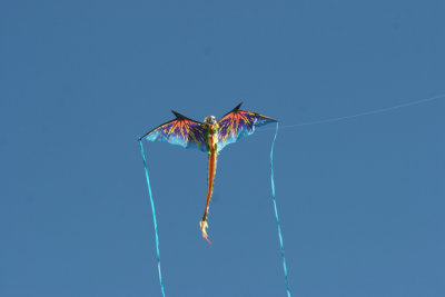 My-Dragon-kite.