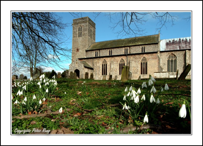 Snow drops at St Helens.