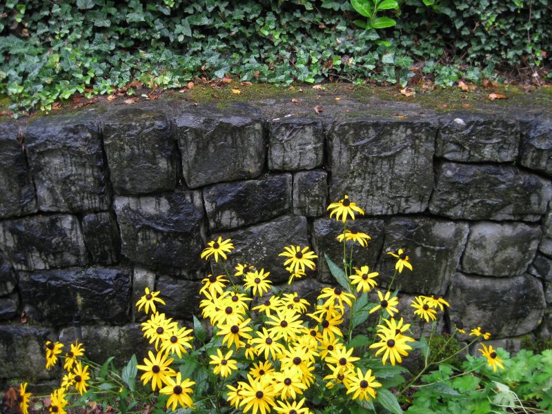 Sidewalk flowers