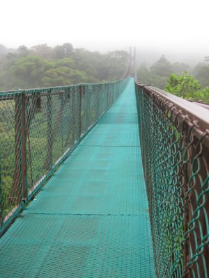 Bridge over the Cloud Forest into the mist