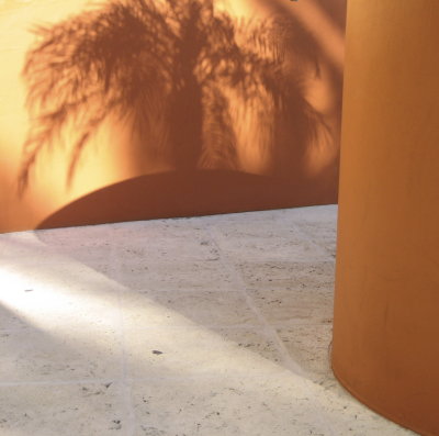 Orange Palm Shadow