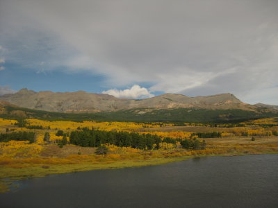 Early Autumn leaves