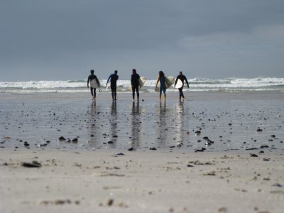 Cape Town Surfers