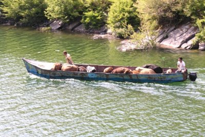 Komani Lake - Transportation