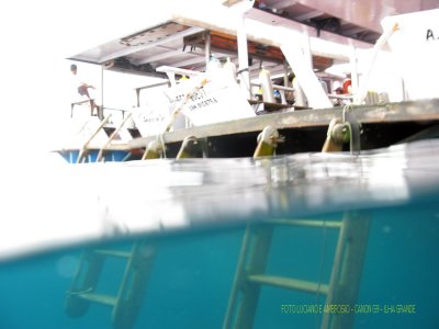 Mergulho no Naufrgio Pinguino - Ilha Grande RJ