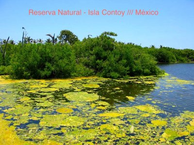 Isla Contoy