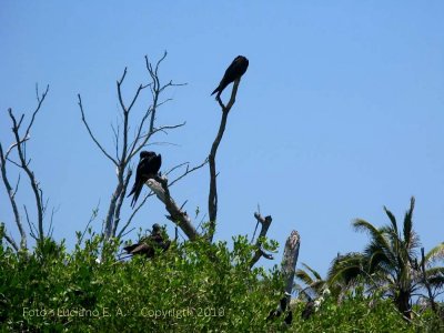 Isla Contoy