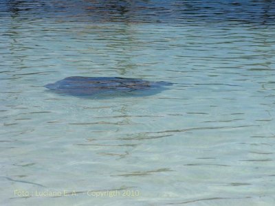 Isla Contoy