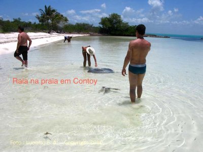 Isla Contoy