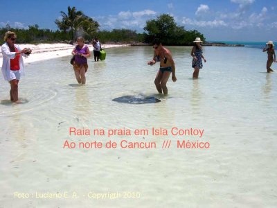 Isla Contoy