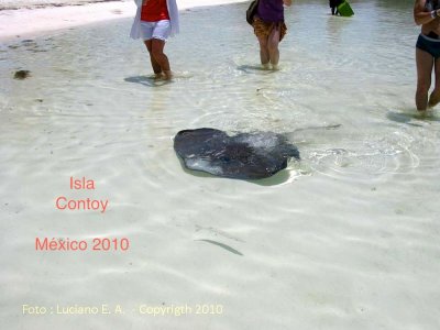 Isla Contoy