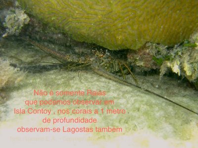 Isla Contoy
