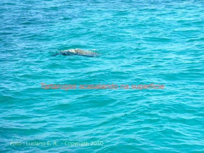 Isla Contoy