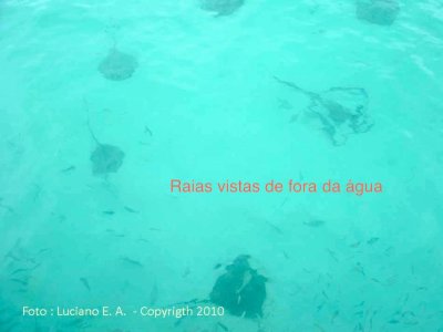g1/88/676688/3/125839423.SDyhZ6gw.jpg