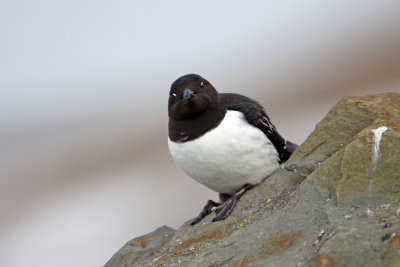 g1/88/689488/3/115885986.uqLxQkcZ.jpg