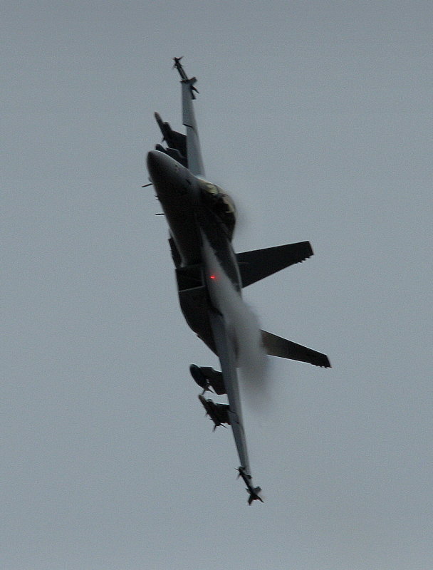 E model Hornet tight left.jpg