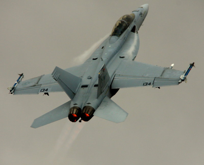 FA 18E goes vertical.jpg