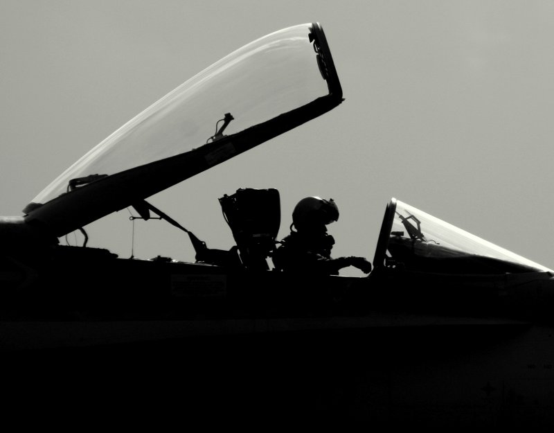 hornet driver silhouette.jpg