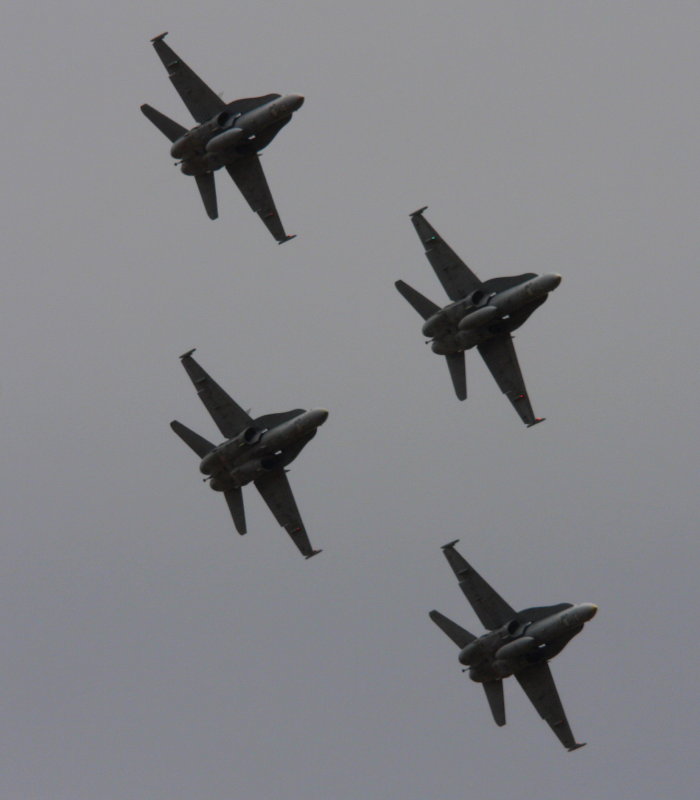 Hornet silhouette.jpg