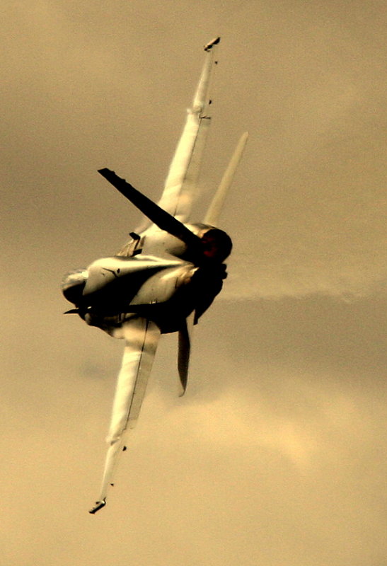 Nice Hornet profile.jpg