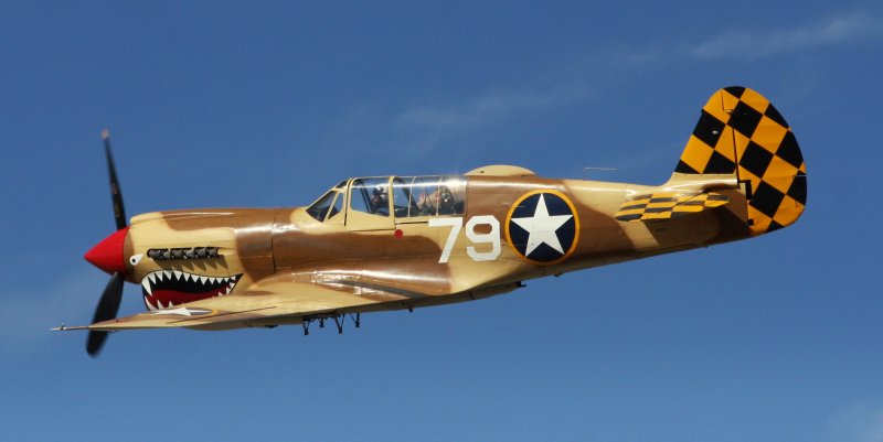 P40 flyby.jpg