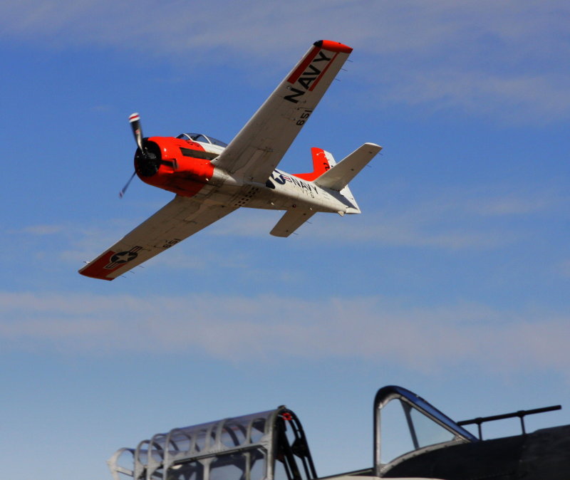 T28 and Zero canopy.jpg