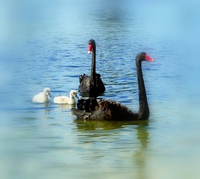 popular shots 5.jpg
