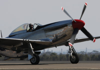 Majestic P51.jpg