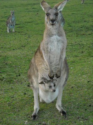 Mum and bub.jpg