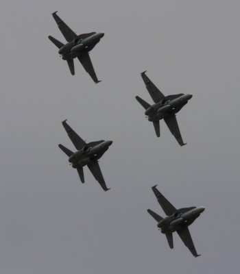 Hornet silhouette.jpg