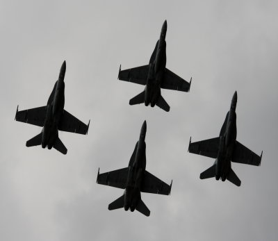 Hornet silhouette 2.jpg