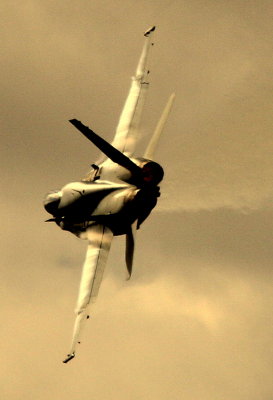 Nice Hornet profile.jpg