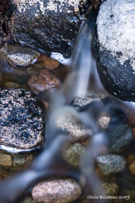 Swans_Island_Stones_2009jun12_045.jpg