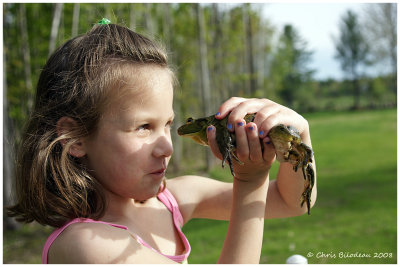 A girl and her frog II