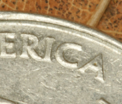 quarter_Macro_100.jpg