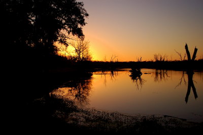 sunrise elm lake.jpg