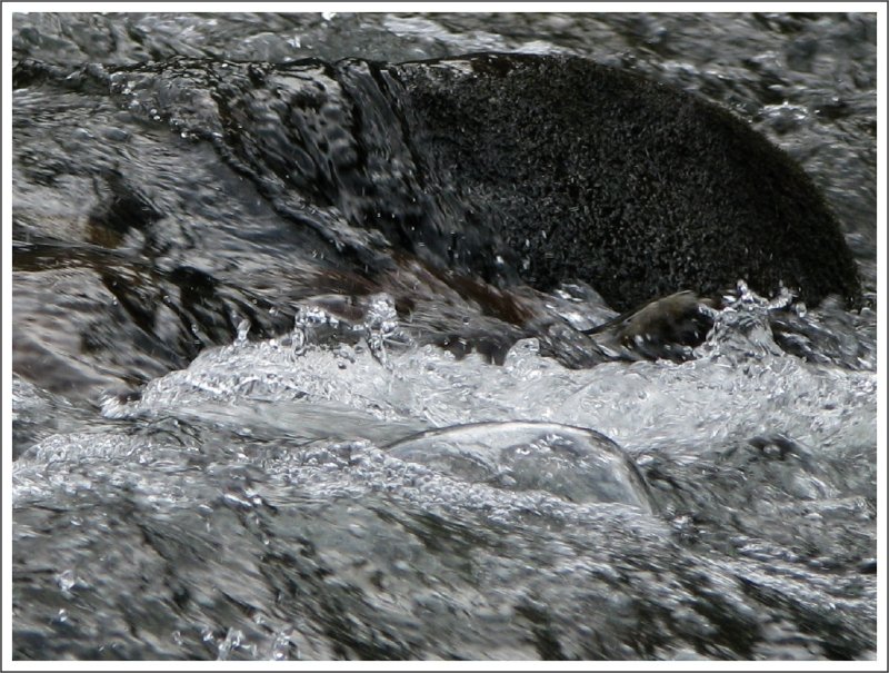 Salt Creek