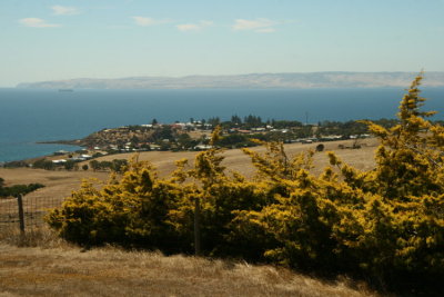 Utsikt frn Kangaroo Island mot fastlandet