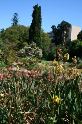 I Adelaide Botanic Garden fanns vxter frn hela vrlden