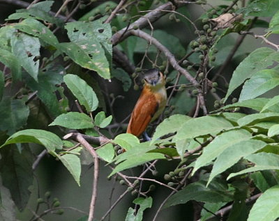 g1/88/803888/3/131421104.KyucmpaC.jpg