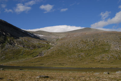 Dovrefjell_15.jpg