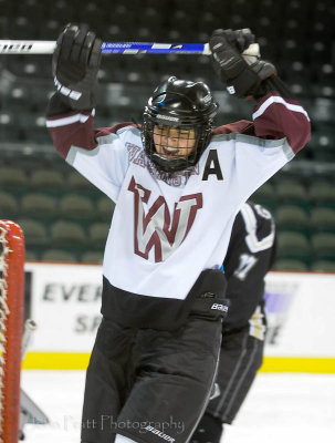 Minor Female Hockey