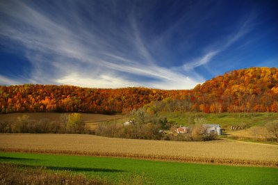 Wis Autumn Cloud + Leaves Red.jpg